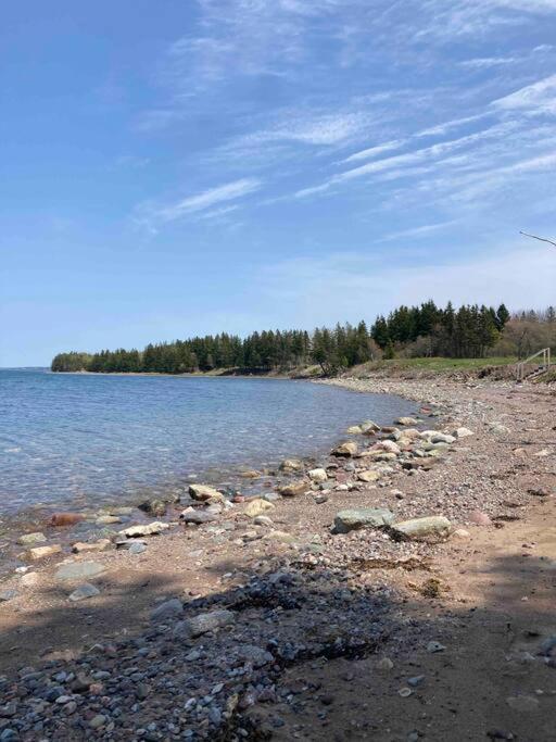 Sea Cliff Cottage Edwardsville Bagian luar foto